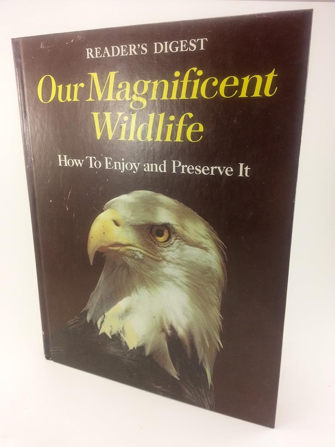 Reader's Digest: Our Magnificent Wildlife - How To Enjoy and Preserve It - Image 2